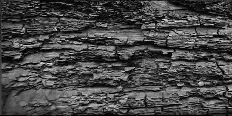 Bitumen